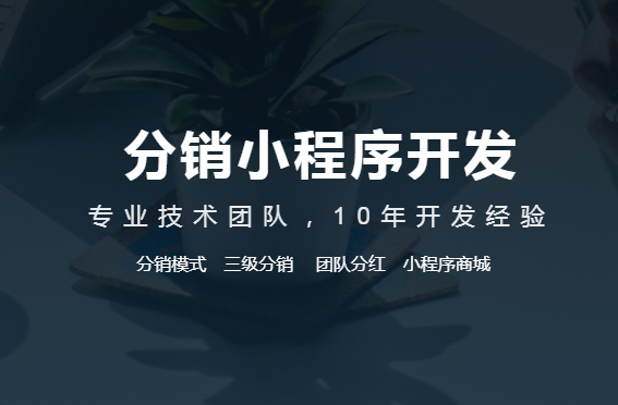 分銷軟件系統(tǒng)有哪些功能？